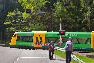 Waldbahn im Bayerischen Wald
